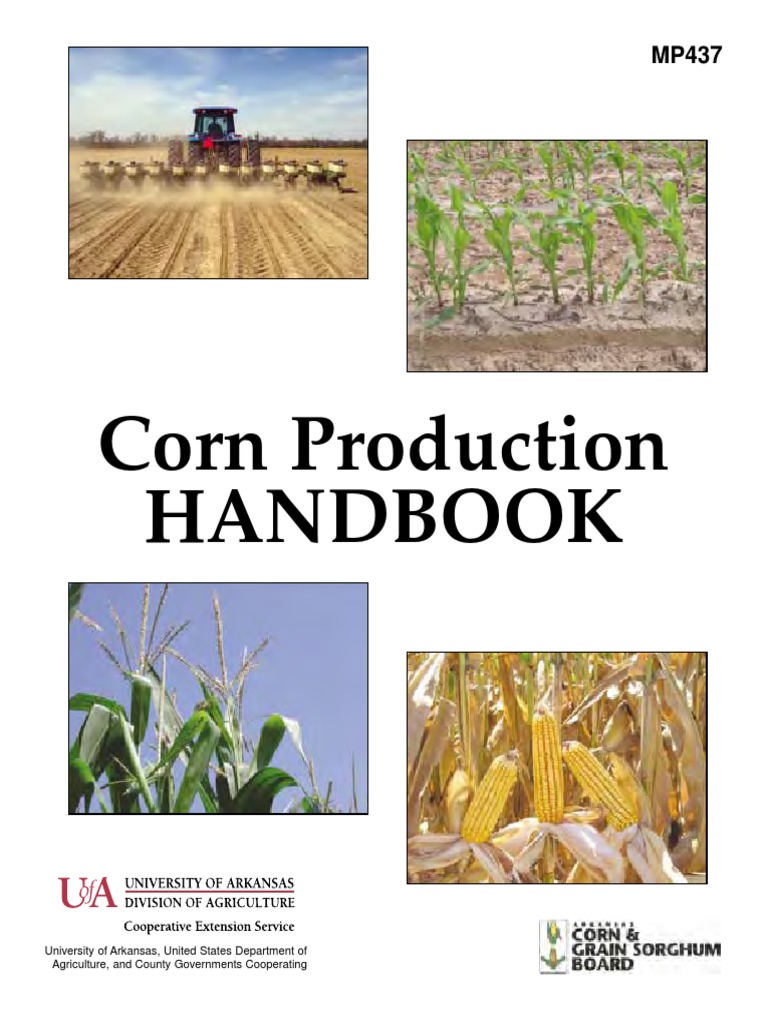 Corn Production Handbook PDF PDF Maize Seed