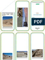 TRIPTICO PAREDONES.docx