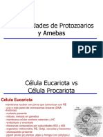 02 Generalidades de Protozoarios y Amebas