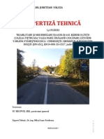 Expertiza Poduri DJ643B PDF