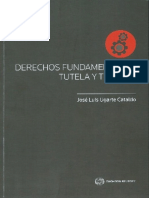 Derechos Fundamentales, Tutela y Trabajo