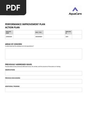 Sample Performance Improvement Plan