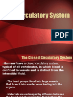 Circulatory System