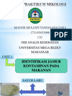 Hasil Praktikum Mikologi Mayer