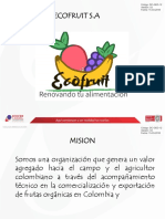 Proyecto Exportación Eco Fruit