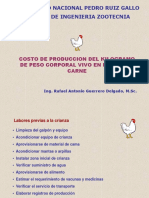 Costo de Produccion Del Peso Corporal Vivo en Las Aves de Carne
