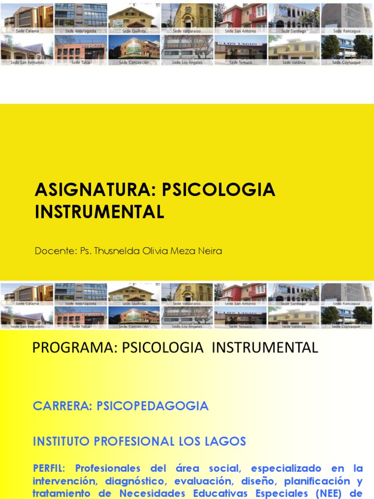 Samuel Padre idioma Asignatura: Psicologia Instrumental: Docente: Ps. Thusnelda Olivia Meza  Neira | PDF | Inteligencia | Sicología