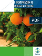 Deficiencia-Citricos.pdf