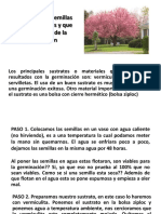 01 cerezo japones.pdf