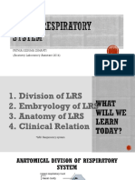 Lower Respiratory System