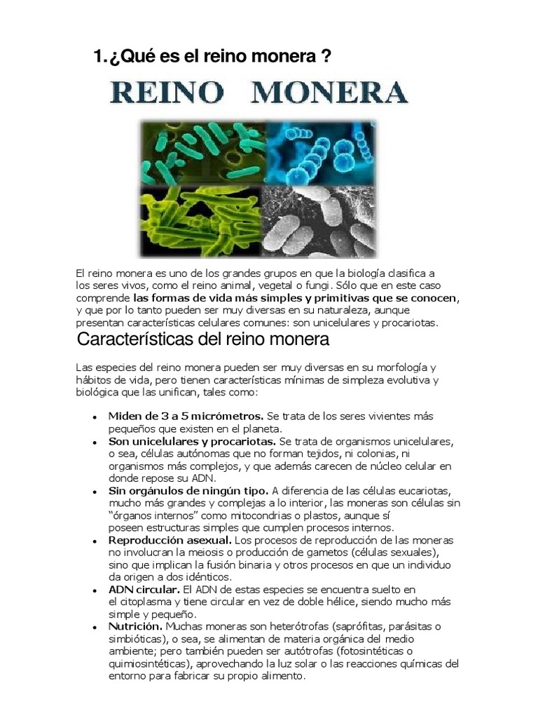 El Reino Monera | PDF | Biología Celular) | Archaea