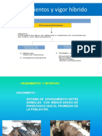 Cruzamientos y Vigor Hibrido PDF