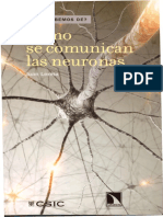 Como Se Comunican Las Neuronas PDF