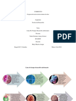 Linea de Tiempo Desarrollo Embrionario PDF