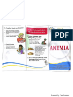 Leaflet Anemia PDF