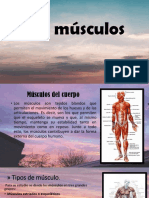 Los Músculos CTA 1