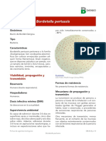 Bordetella pertussis.pdf