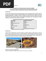 estudio de proceso de humus de lombriz 06.pdf