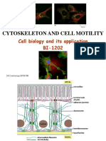 Cytoskeleton-and-cell-motility-1.pptx