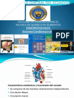 4 Anomalias Cardiovasculares 1 PDF