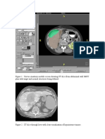 Pelizzarifigures PDF