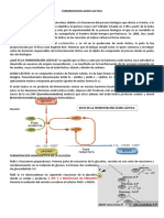 FERMENTACIÓN ÁCIDO LÁCTICA