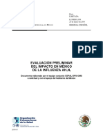 2010 011 - Influenza L958w PDF
