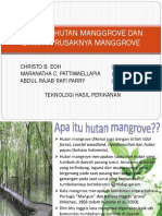 Hutan Manggrove