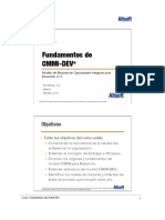 Cmmi Fundamentos Devv1.3