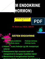5 Hormonal (Endokrin)