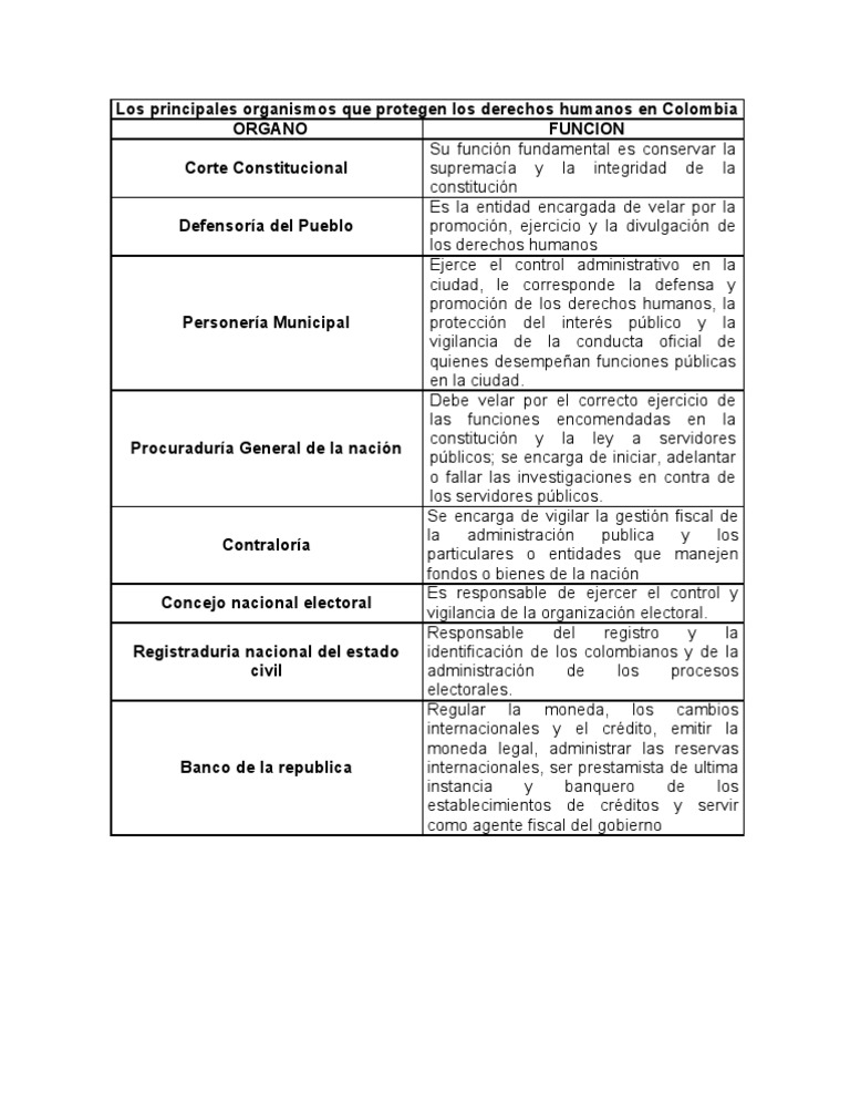 Los Principales Organismos Que Protegen Los Derechos Humanos en ...