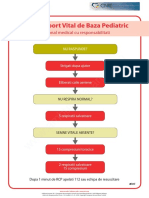 Poster Suport Vital de Baza Pediatric 2010 PDF