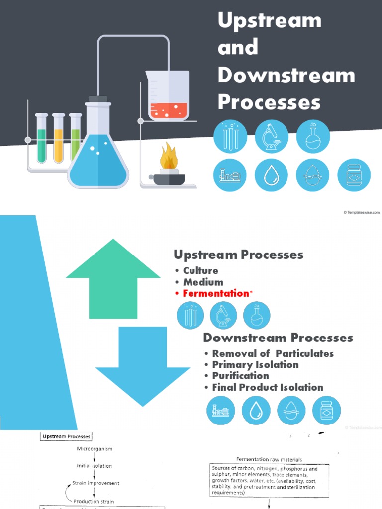 Upstream and Downstream Processes PDF Protein Purification