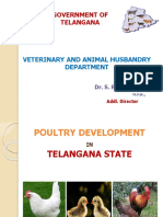 Poultry Industry in TS