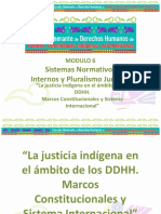 La Justicia en El Ámbito de DDHH