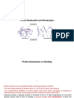 ''Final Protein Denaturation