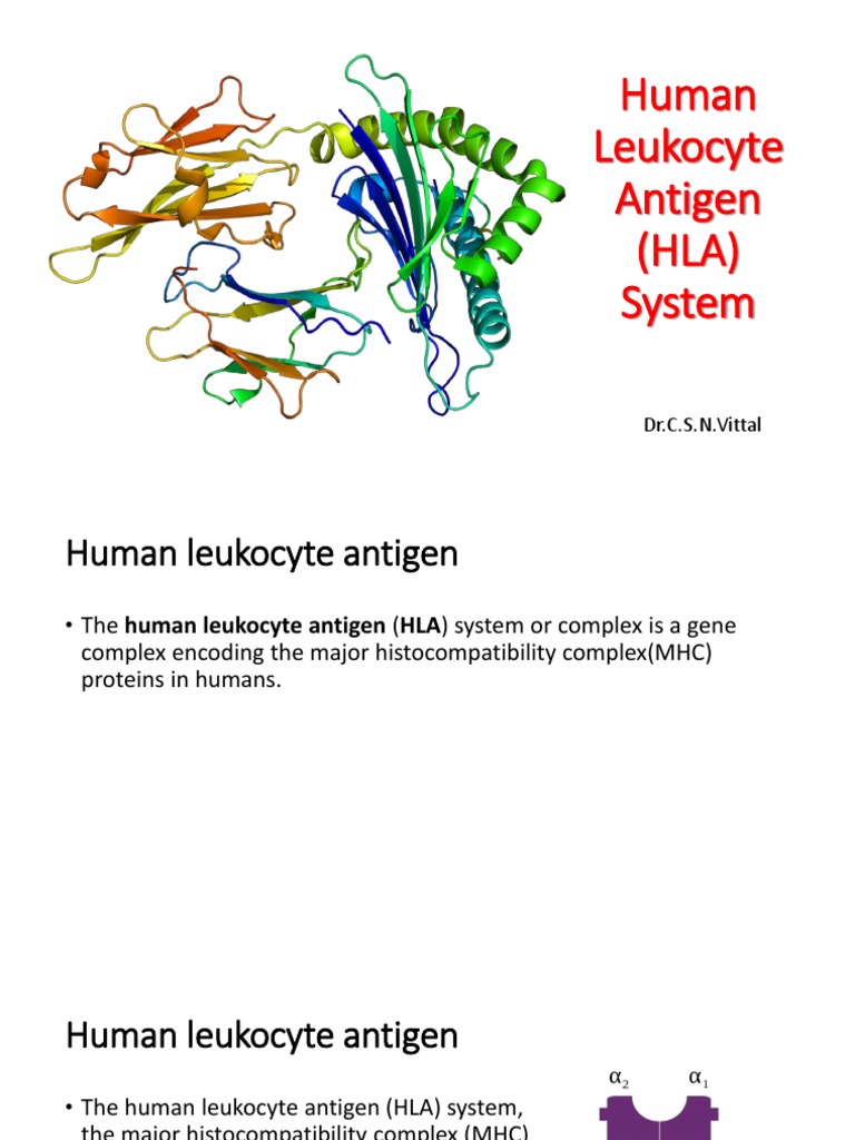 HLA Typing Understanding the Human Leukocyte Antigen System PDF