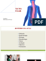 Fisioterapia Na Lesão Medular