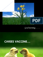 Caries Vaccine 