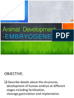 Animal Development - : Embryogenesis