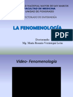 FENOMENOLOGIA