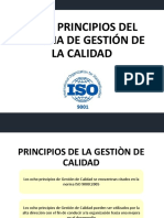 8 principios de SGA.pdf
