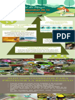 Infografia Biodiversidad