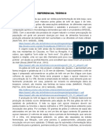 Fundamentação Teórica 01 PDF