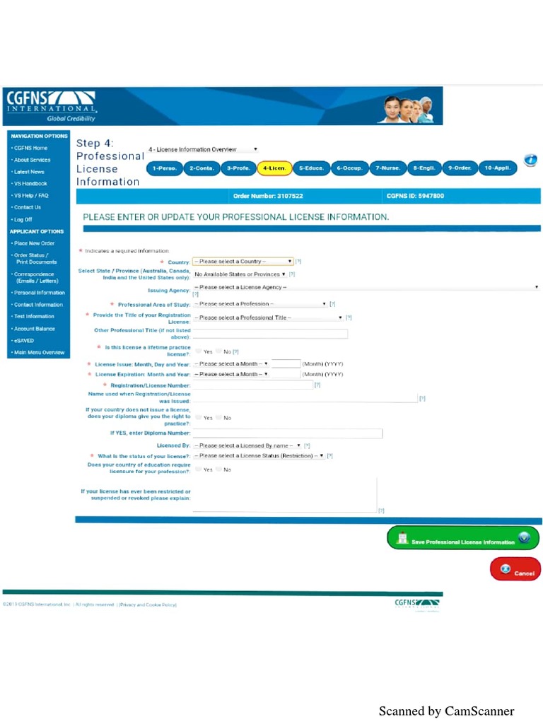 Visa Screen | PDF