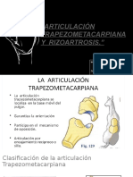 Art. Trapezometacarpiana y Rizoartrosis
