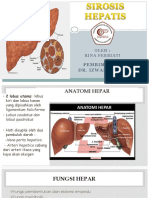 Sirosis Hepatis RINA