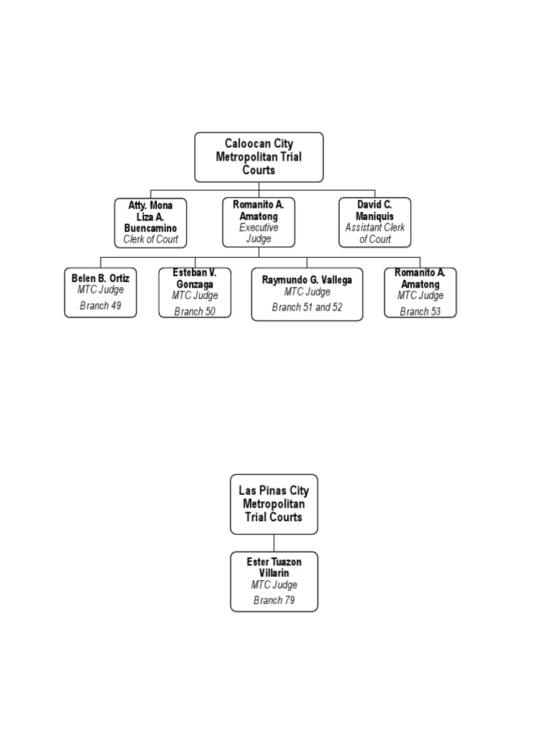 Overview of Metropolitan Trial Courts | PDF | Practice Of Law | Judiciaries