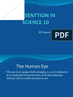 The Main Parts of the Human Eye Explained