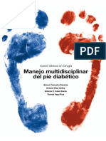 LIBRO PIE DIABETICO 2015_DEF.pdf